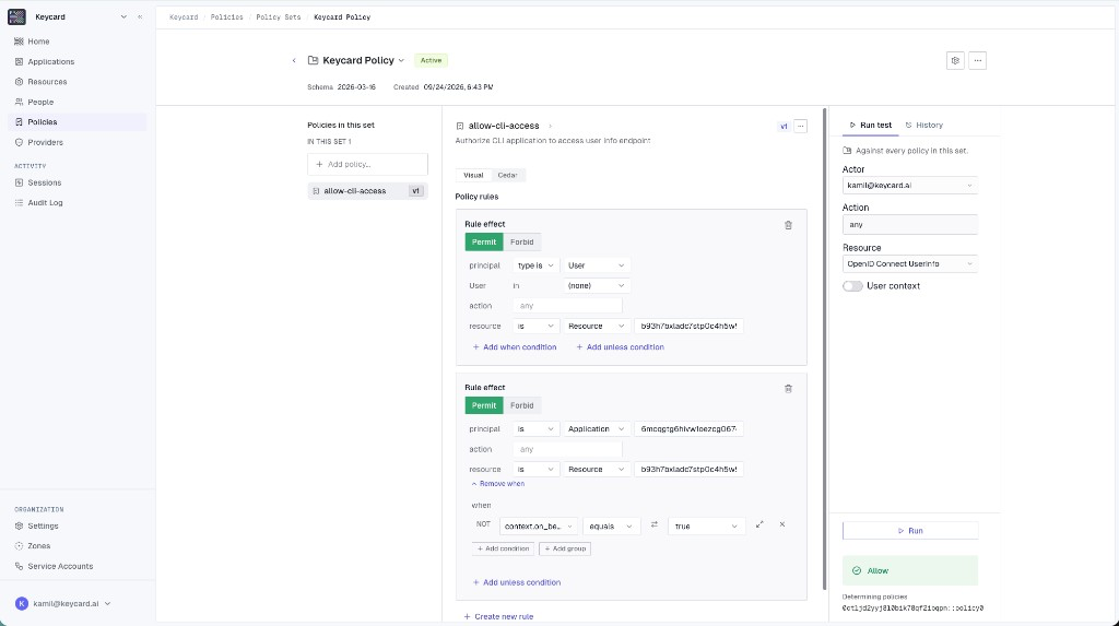 The Run test panel with a User as the actor and the UserInfo Resource selected, returning Allow